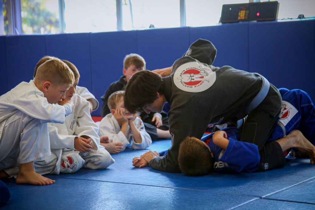 Brazilian Jiu Jitsu Programs for all ages Sydney